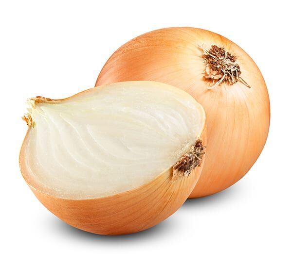 texas super sweet 1015y onion full grown, cut open on white background