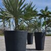 Linea Conic Planter Photo 1