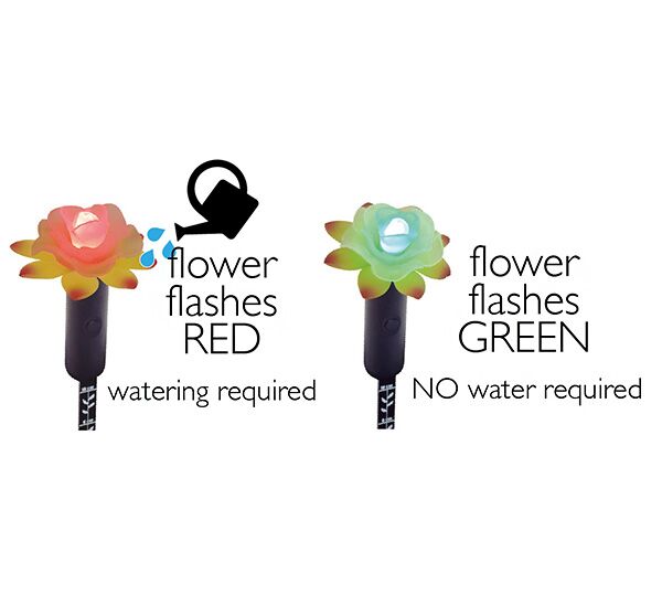 The Award-Winning Plant Alarm Moisture Sensor