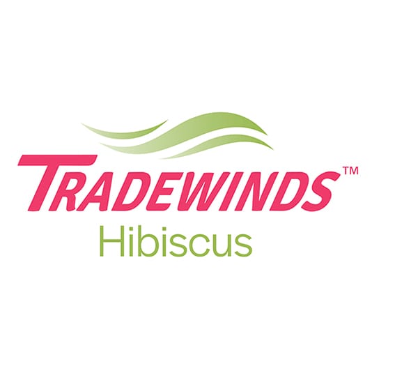 tradewinds tropical hibiscus(tm)