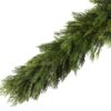 Cedar-Douglas Fir Garland Photo 1