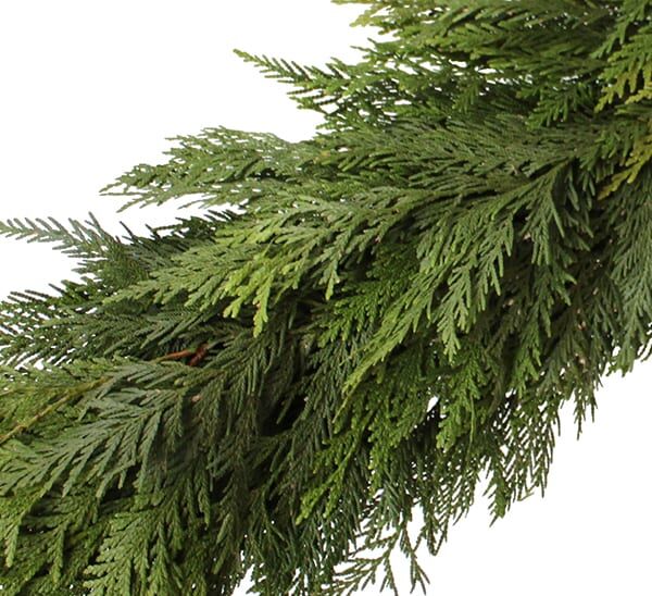 cedar garland