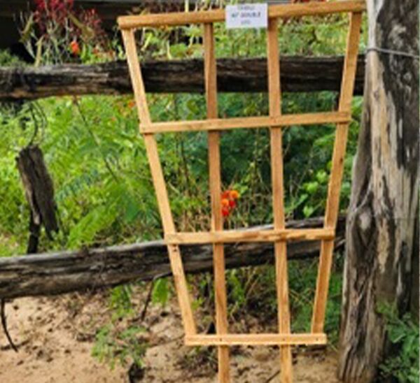 Cedar Trellis Double Leg 40in