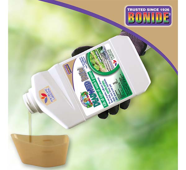 Captain Jack’s™ DeadWeed Brew