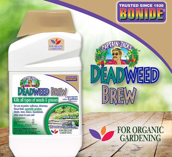 Captain Jack’s™ DeadWeed Brew