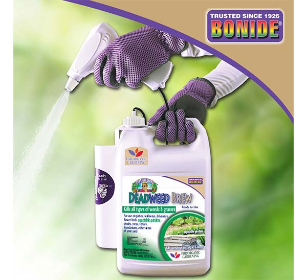 Captain Jack’s™ DeadWeed Brew