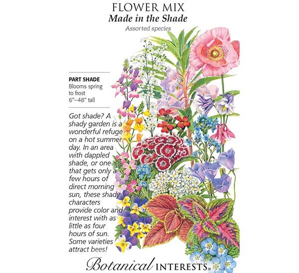 Made In The Shade Seeds