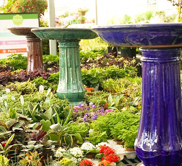 Birdbaths
