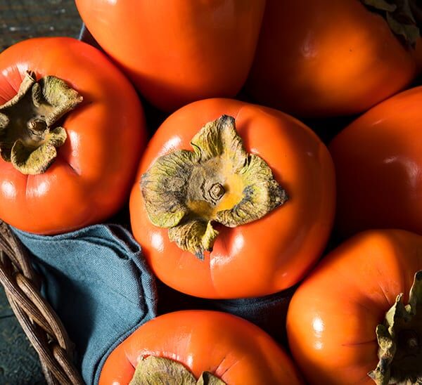 Fuyu Persimmon Photo 1