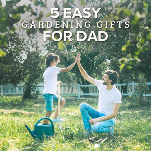 5 Easy Gardening Gifts for Dad | Calloway’s Nursery