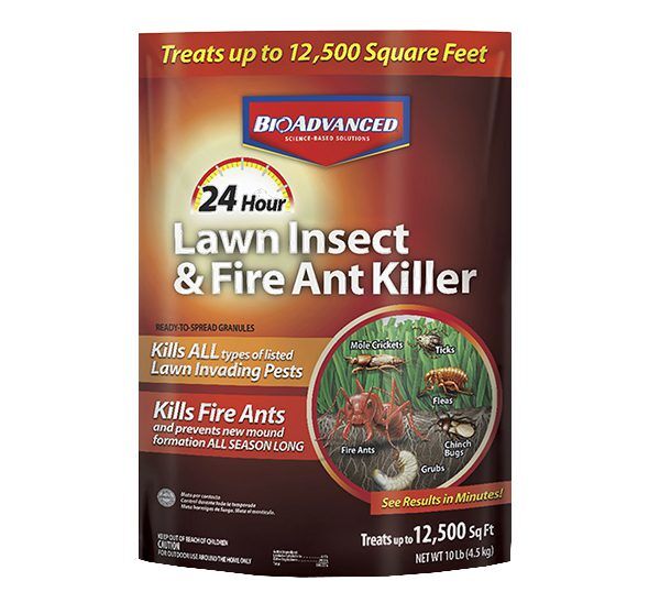 BioAdvanced® 24 Hour Lawn Insect & Fire Ant Killer