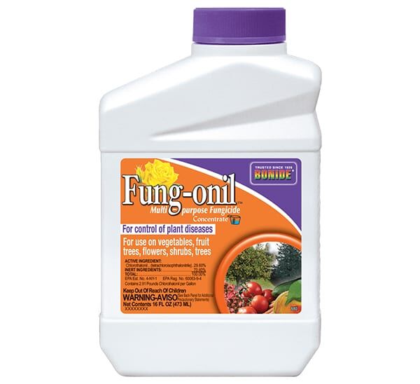 Bonide® Fung-onil™ Multi-purpose Fungicide Concentrate