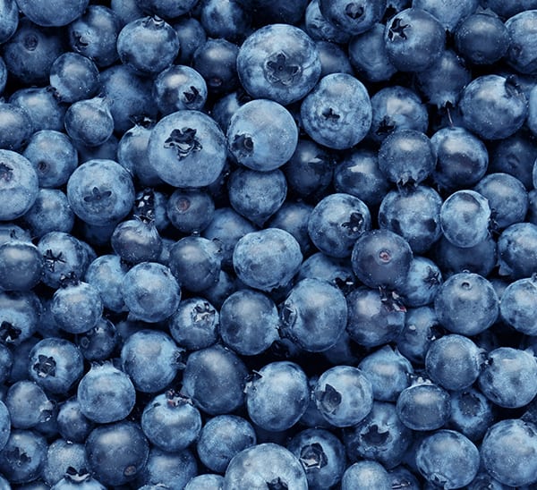 Bountiful Blue® Blueberries