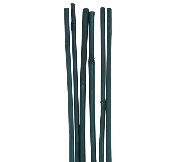 D&D Bamboo Stakes