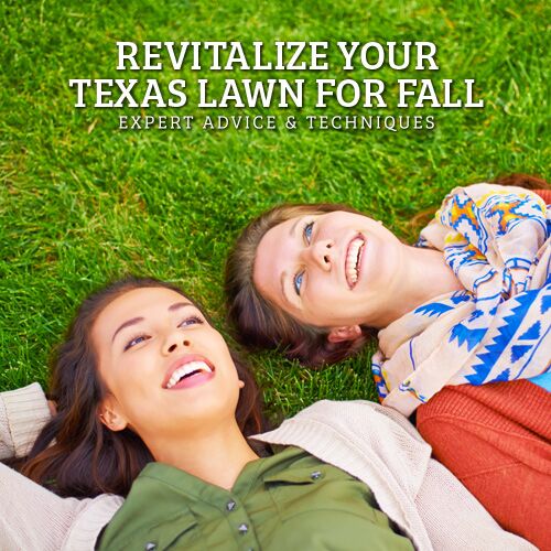 Texas Lawn Recovery
