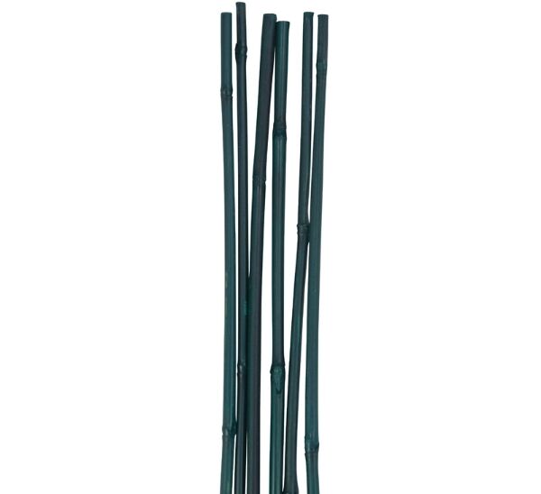 D&D Bamboo Stakes