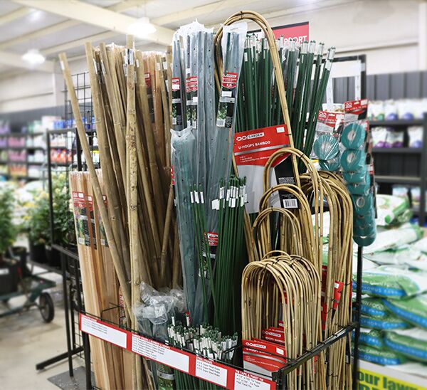 D&D Bamboo Stakes